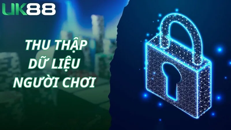 Chính sách bảo mật áp dụng cho quy trình thu thập dữ liệu