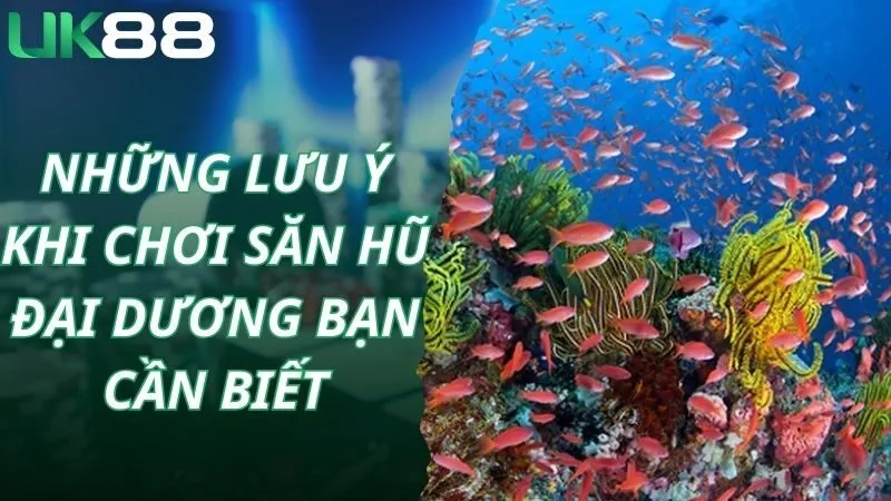 Những lưu ý khi chơi săn hũ đại dương bạn cần biết